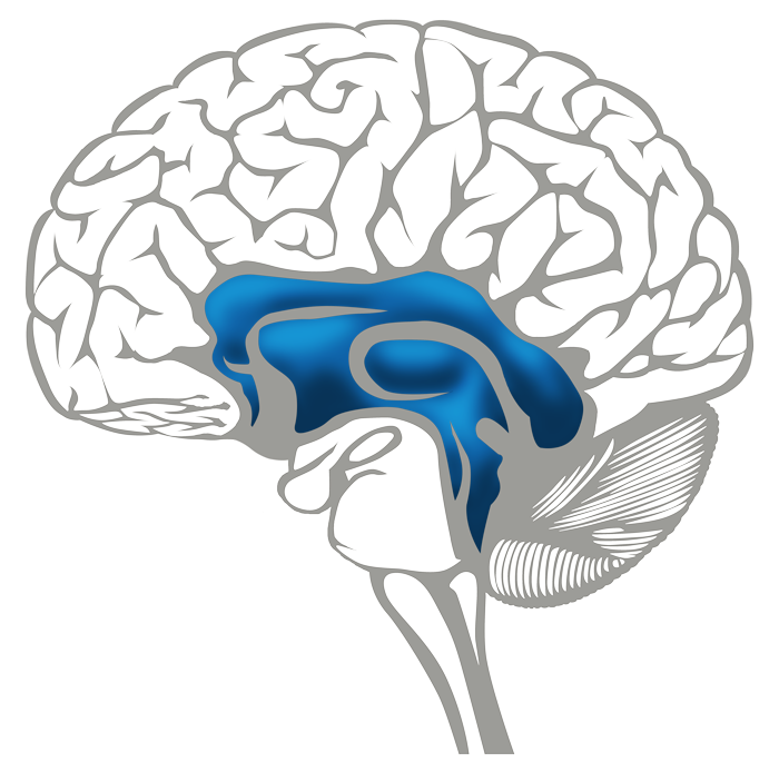 Brain Emotional Blue