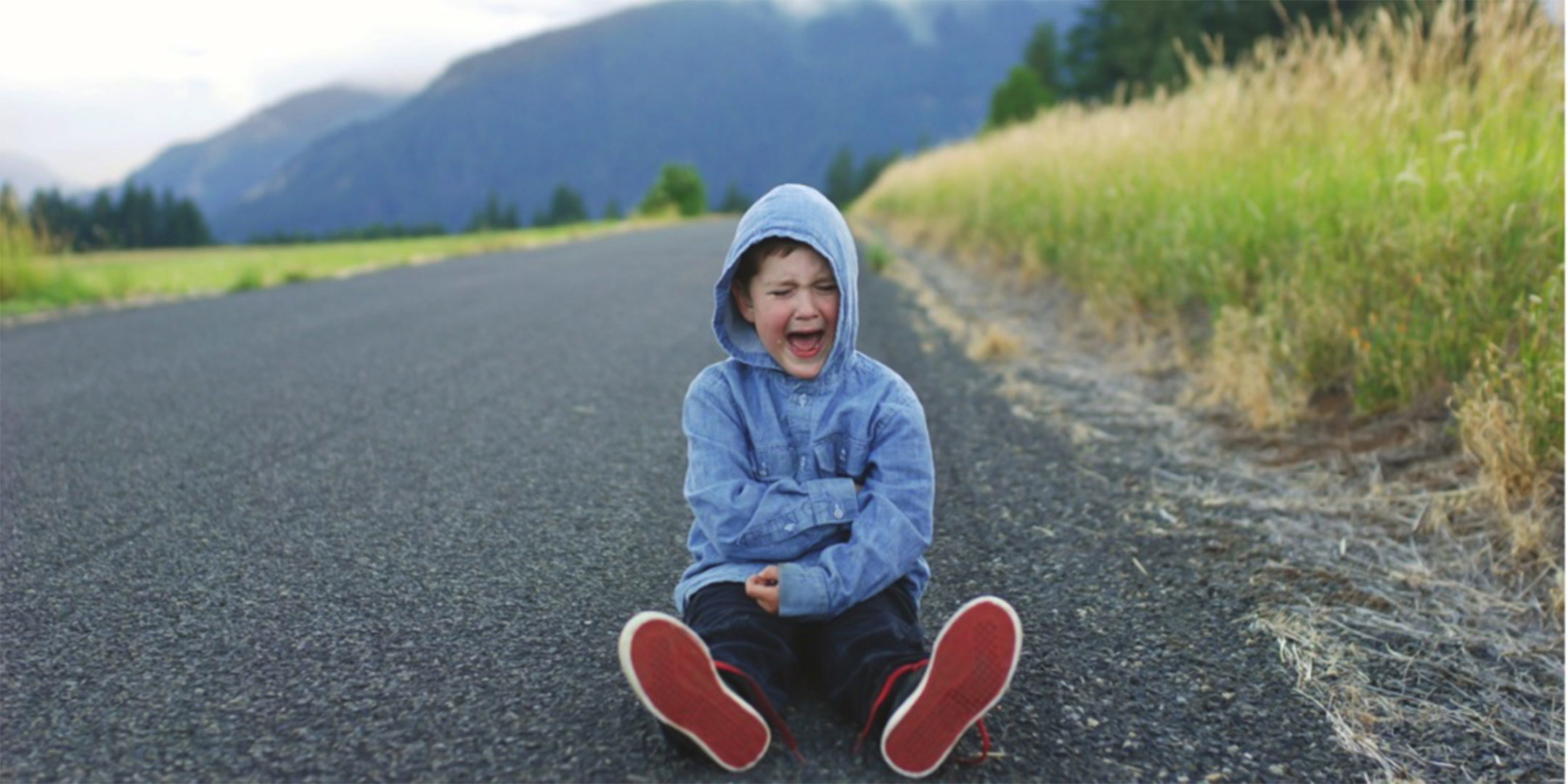 Behavior Intervention Strategies