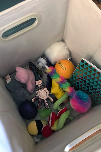 Backyard: Portable Safe Place