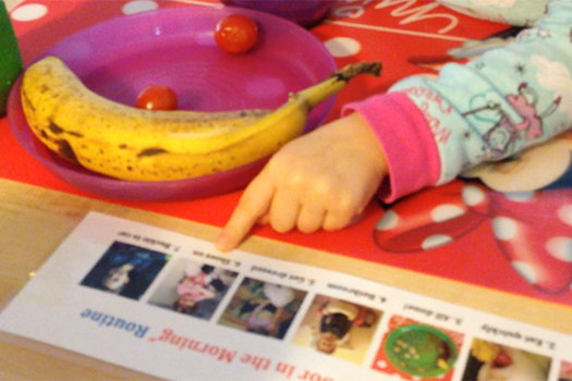 Kitchen: Visual Routine