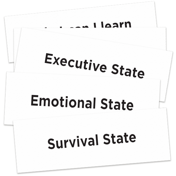 Brain State Model: Pieces