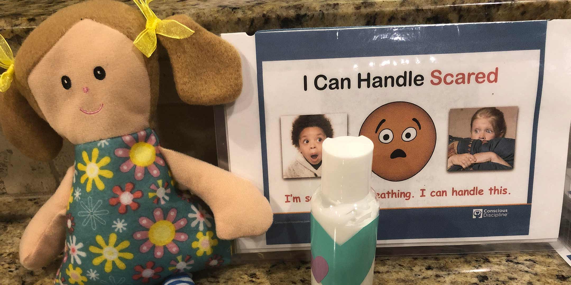 My Conscious Discipline Journey: Taming Anxiety and Healing After a Natural Disaster