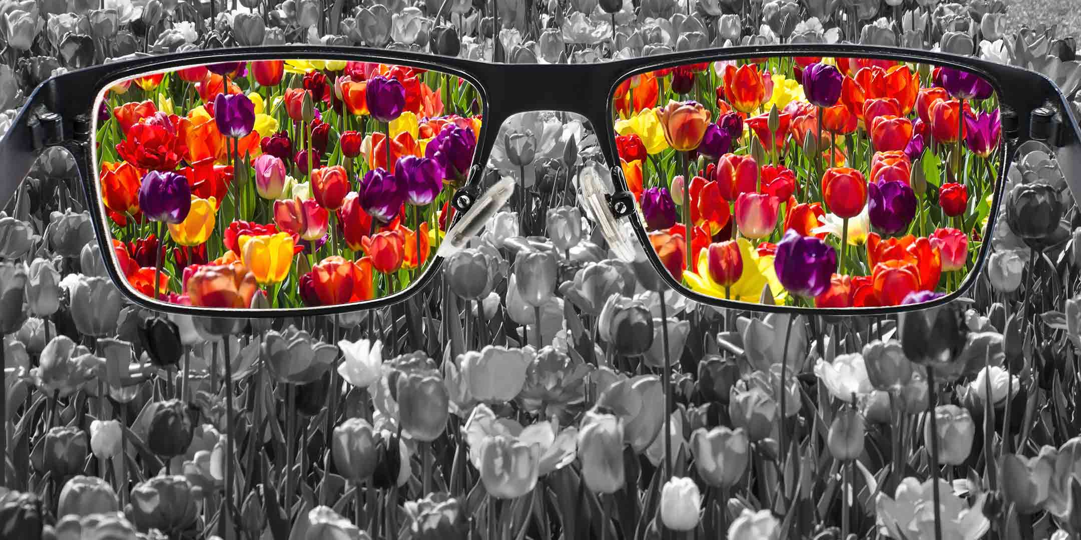 Seven Powers: Power of Perception - banner